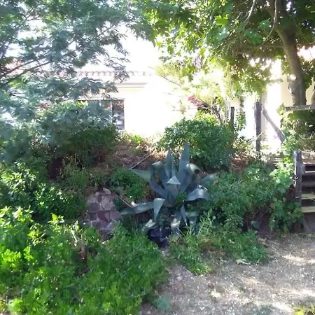 度假居 Maison De Avec Grand Jardin - La Chaume - 8 Personnes *